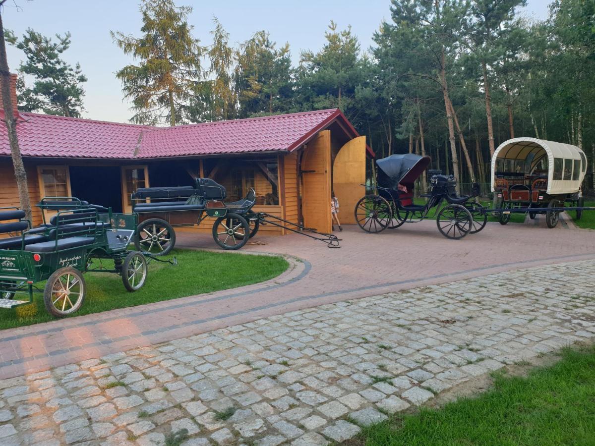 Villa Osrodek Agroturystyczny Zacisze Giewartów Exterior foto